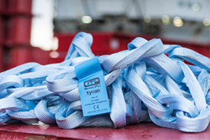 Read more about the article NEW: Green Pin Tycan Chain