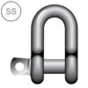 SS Dee Shackle Screw Pin
