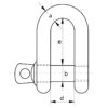 SS Dee Shackle Screw Pin - Image 2
