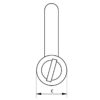 SS Dee Shackle Screw Pin - Image 3