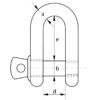 Large Dee Shackle, A Pin - Image 2
