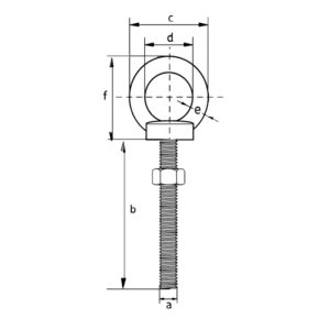 SS Long Eyebolt