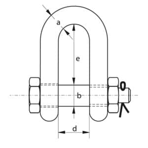 SS Dee Shackle Safety Pin